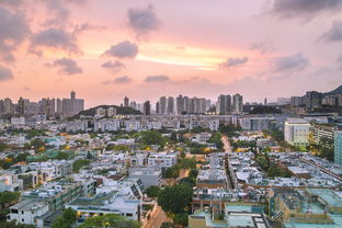 2005年新澳门和香港免费大全与2005年新澳门免费大全-数据支持计划设计